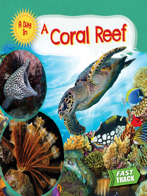 cover image of A Coral Reef